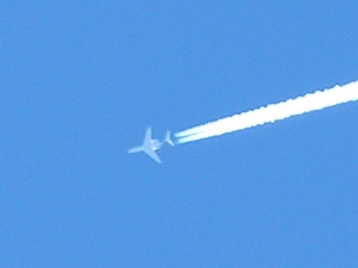 test54.jpg