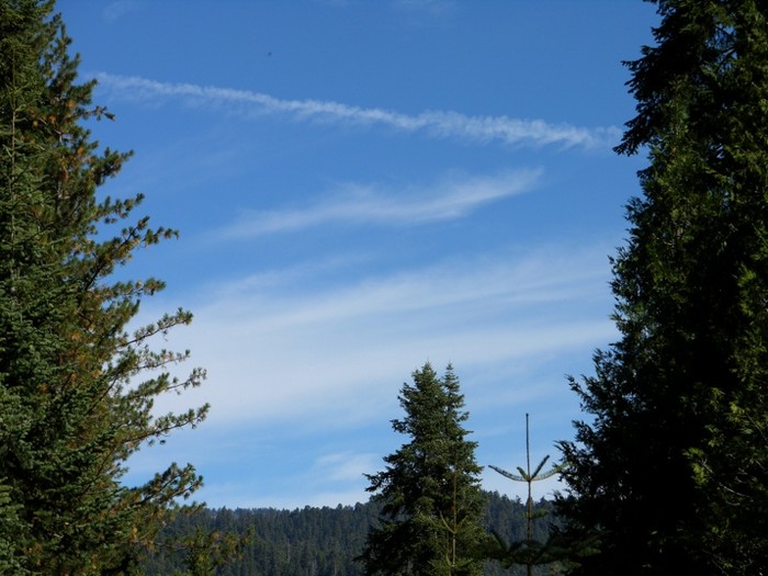 test55.jpg