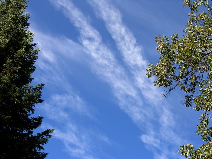 test57.jpg