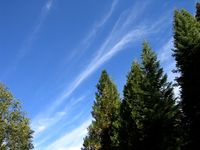 test58.jpg