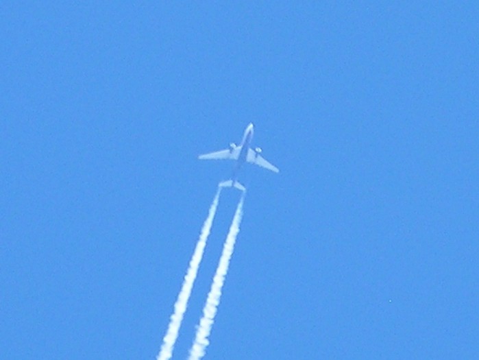 test60.jpg
