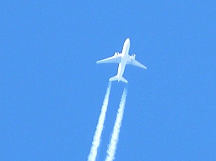 test63.jpg