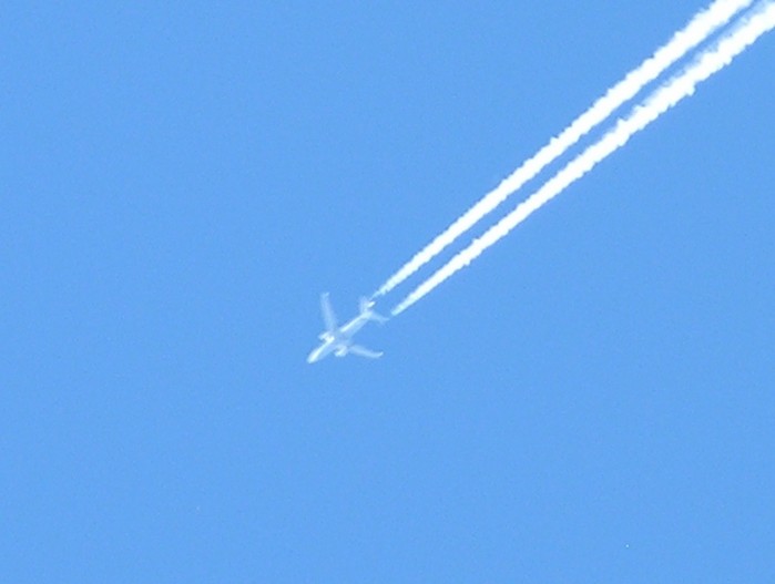 test73.jpg