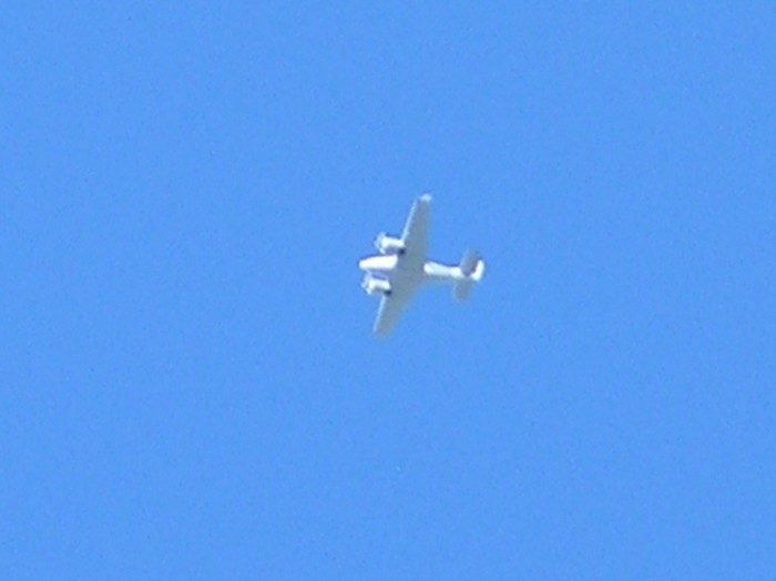 test75.jpg