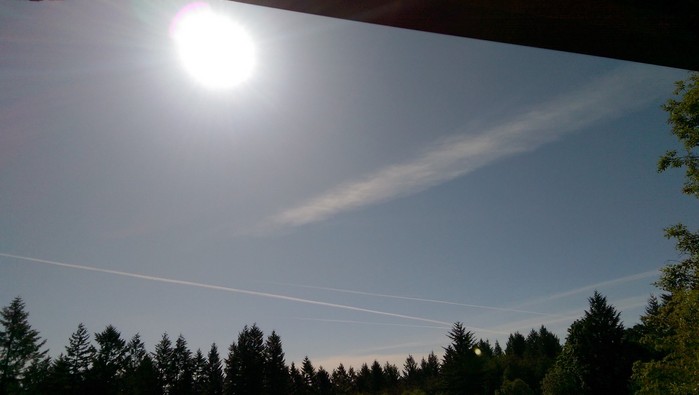 IMAG07219.jpg