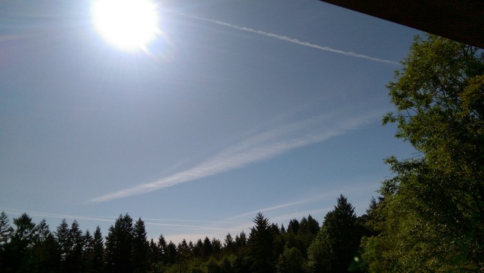 IMAG07222.jpg