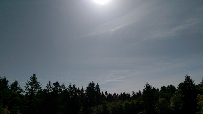 IMAG07230.jpg
