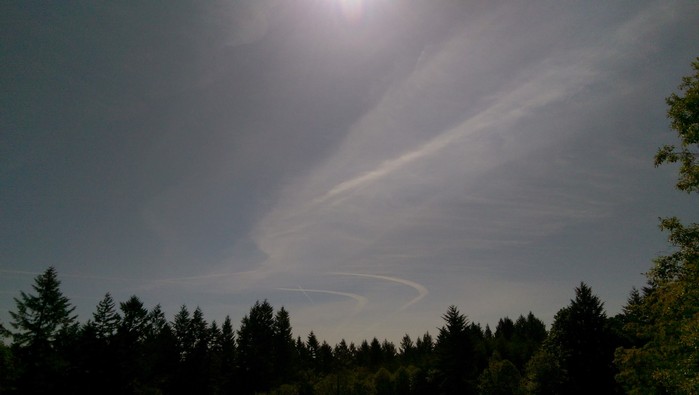 IMAG07239.jpg