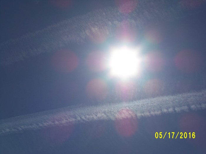 100_0767.JPG