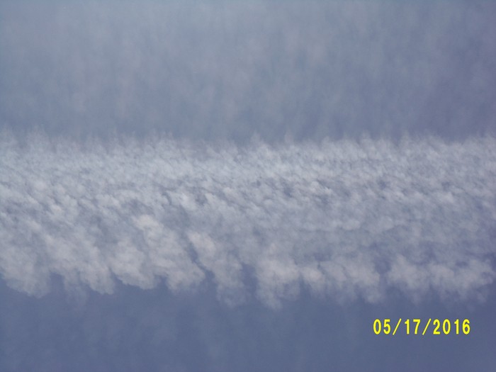 100_0766.JPG