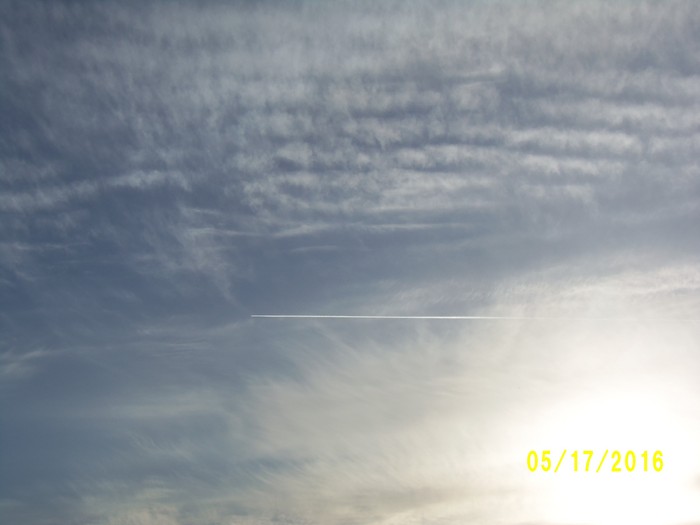 100_0769.JPG