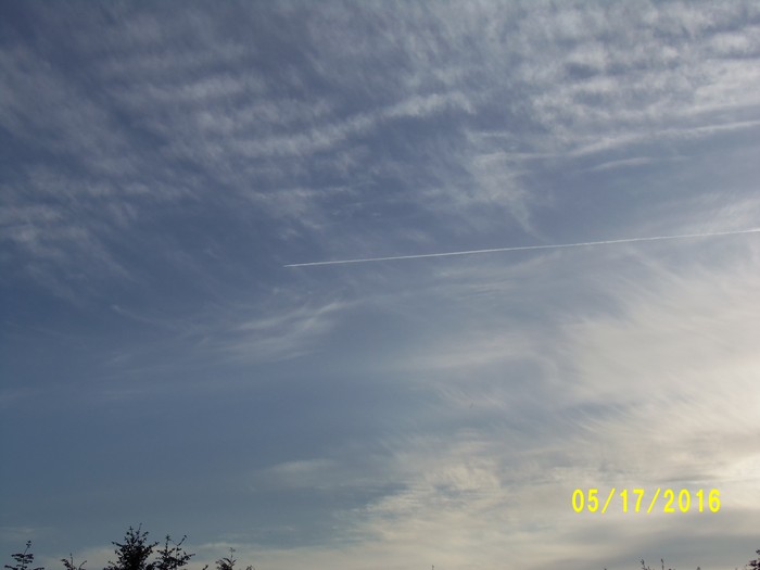 100_0771.JPG
