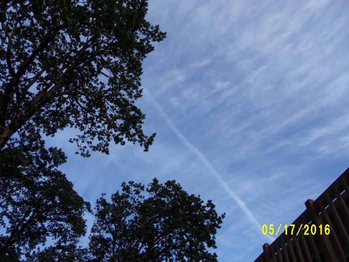 100_0772.JPG
