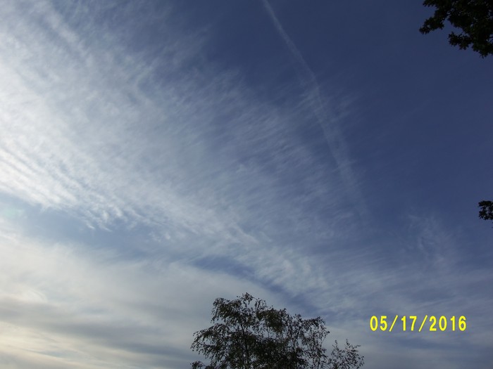 100_0770.JPG