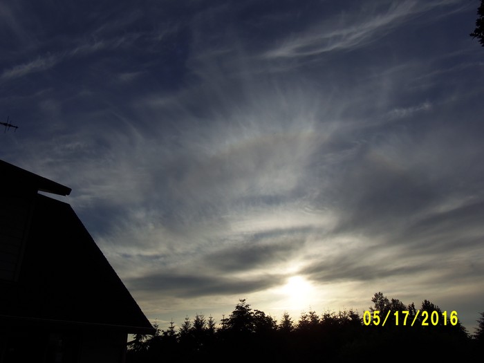 100_0773.JPG
