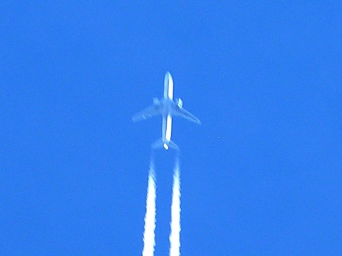 test49.JPG