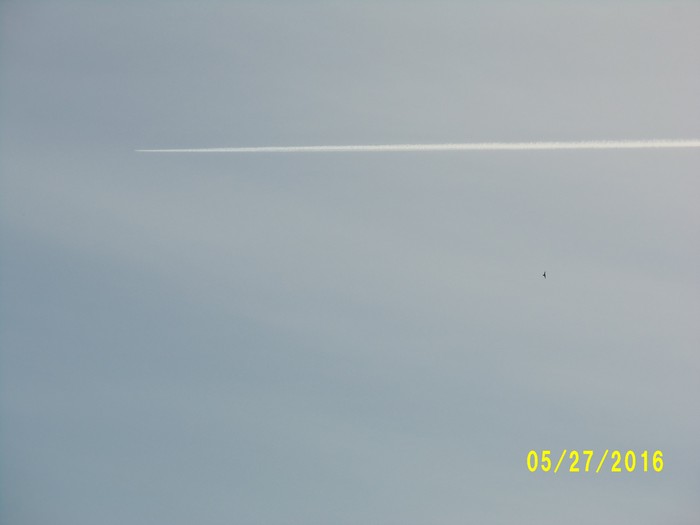 100_0774.JPG