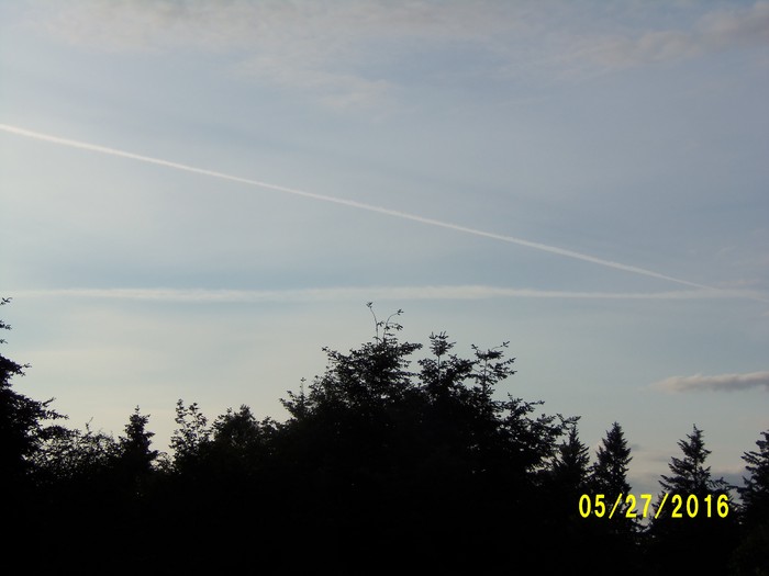 100_0775.JPG