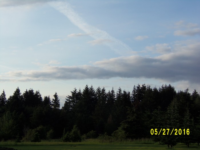 100_0776.JPG