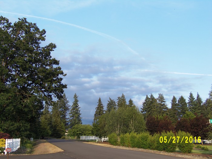 100_0777.JPG