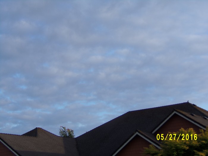 100_0780.JPG