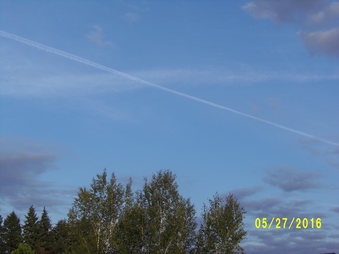 100_0782.JPG