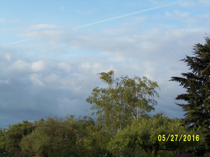 100_0783.JPG