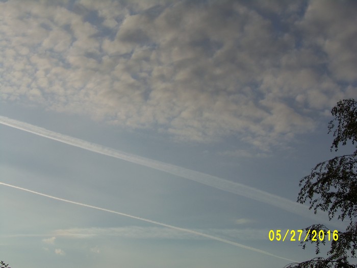 100_0785.JPG