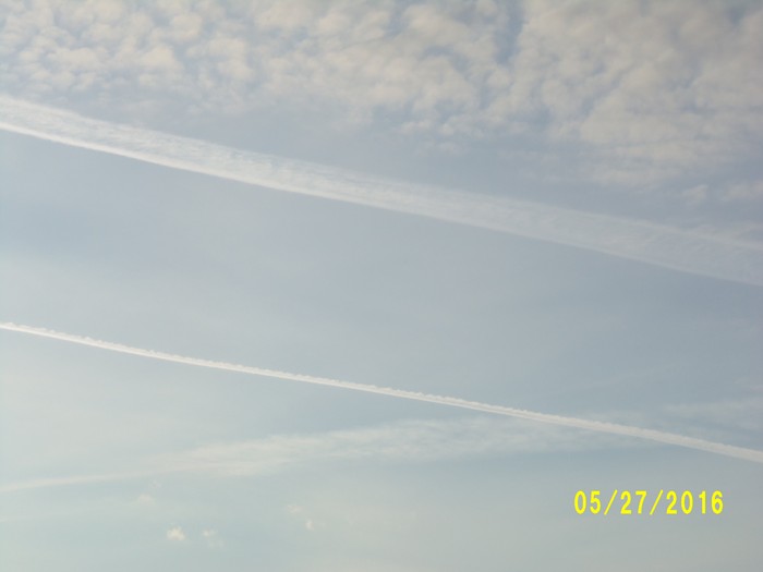 100_0786.JPG