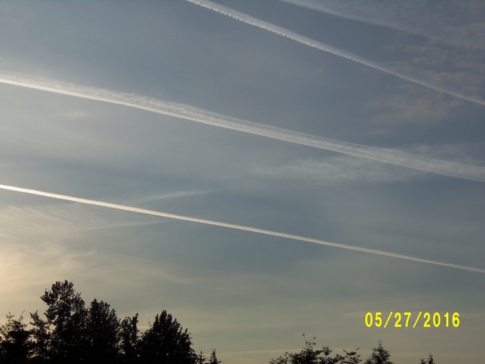 100_0787.JPG