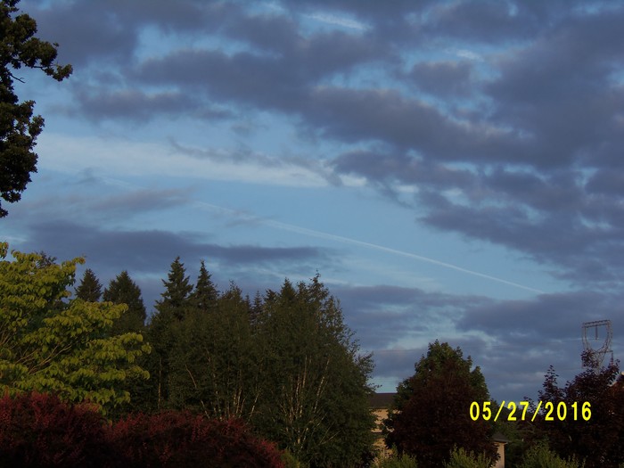 100_0790.JPG