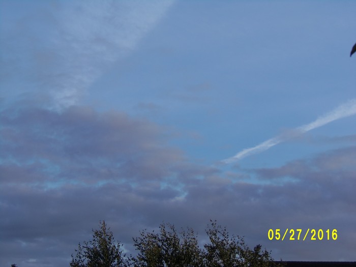 100_0791.JPG