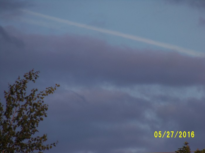 100_0796.JPG
