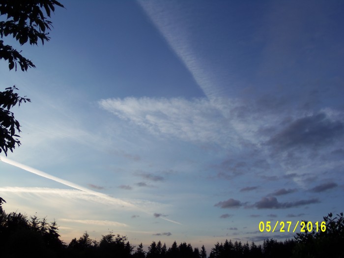 100_0800.JPG