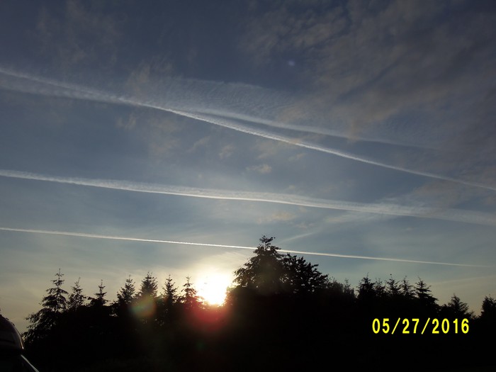 100_0789.JPG