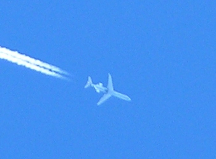 test54.JPG