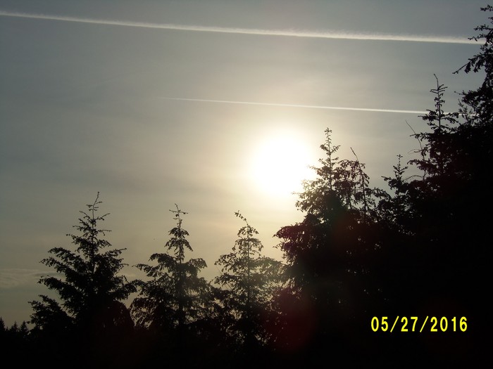 100_0781.JPG