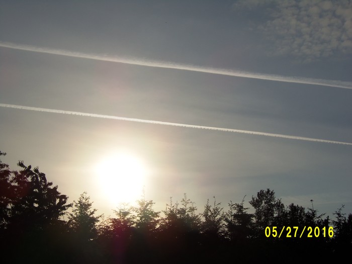 100_0784.JPG