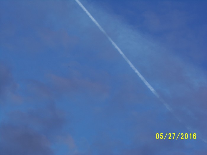 100_0799.JPG