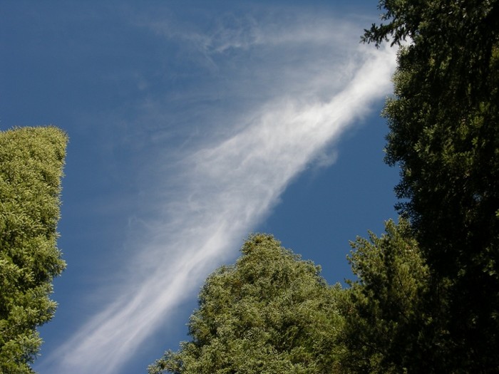 test57.JPG