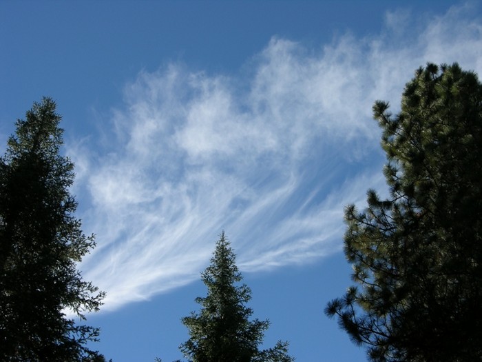test59.JPG