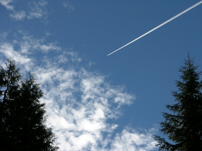 test65.JPG