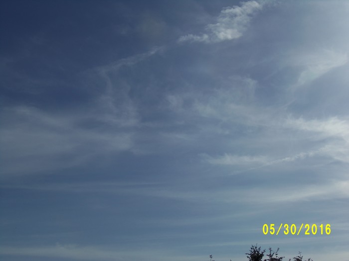 100_0816.JPG