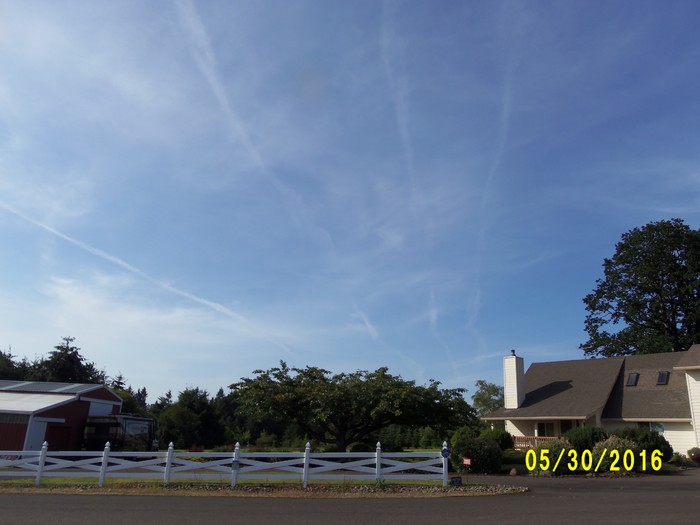 100_0825.JPG