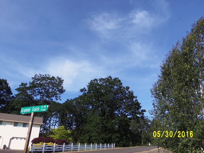 100_0826.JPG