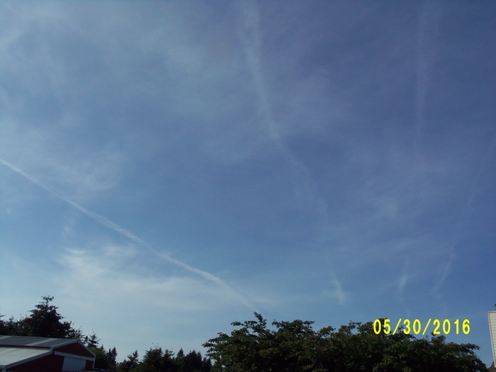 100_0830.JPG