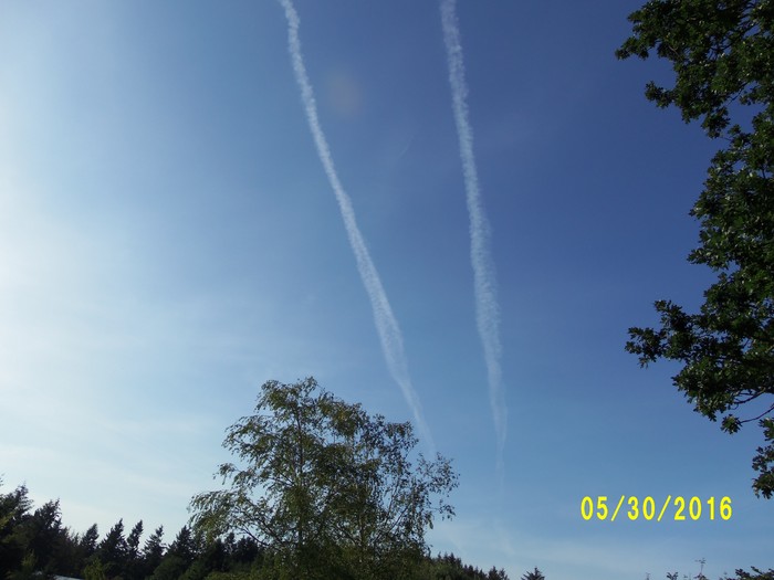 100_0833.JPG