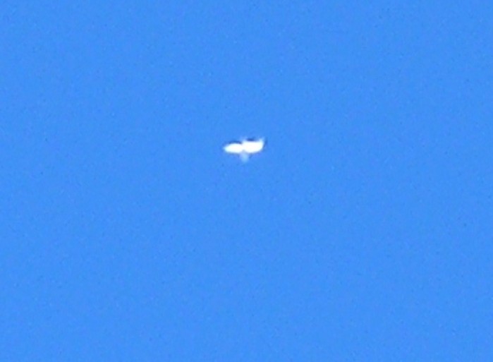 test67.JPG