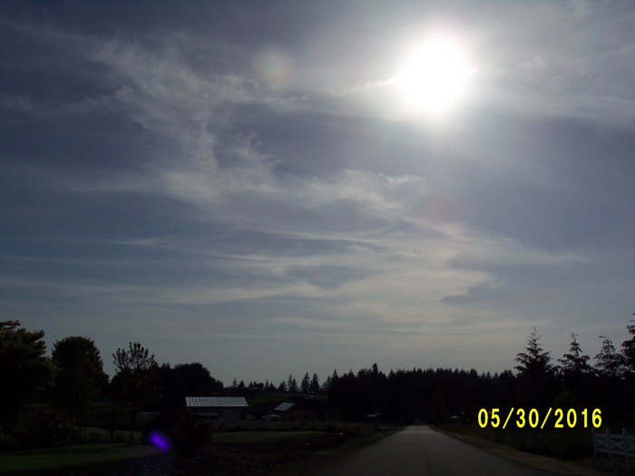 100_0831.JPG