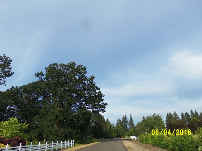 100_0866.JPG